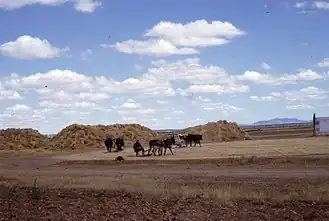 Мартин-де-Ельтес