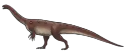 Massospondylus