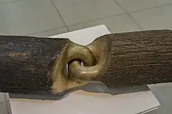 «Контрбаланс». 2015, l = 75 см, дерево, бронза