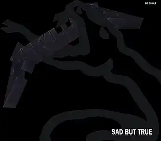 Обложка сингла Metallica «Sad but True» (1992)