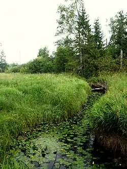 Межа в верхнем течении