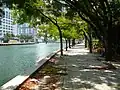 Набережная Miami Riverwalk[англ.] в Майами, фото 2008 года.