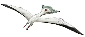 Реконструкция