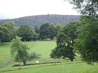 Вид парка вокруг замка Мидмэйр