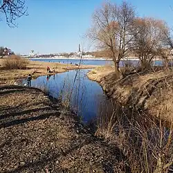 Устье Мирожки: при впадении в Великую. Вдали&nbsp;— Кром