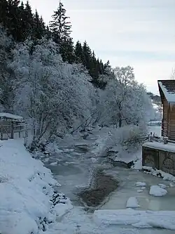 Мизунка зимой в Вышкове
