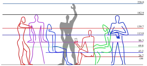 Модулор. Шкалы антропоморфных мер. 1948