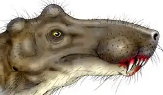 Реконструкция головы