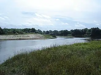 Река Мокша на границе Сасовского и Пителинского районов