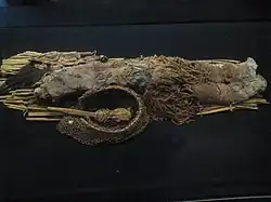 Младенческая мумия, красного типа