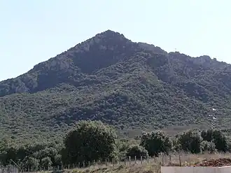 Место события — гора Монтехурра