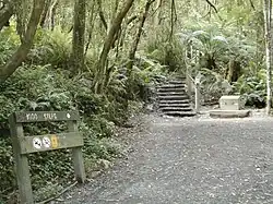 Тропа «Тысяча шагов»