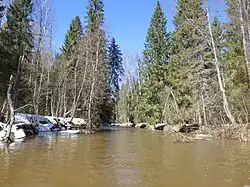 Монза в апреле 2025