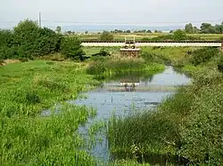 Река Моравица перед Ватином