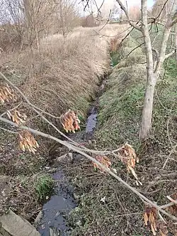 Верховье Моравки на восточной окраине села Вудка в декабре 2021 года