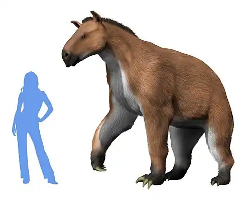 Moropus elatus, реконструкция