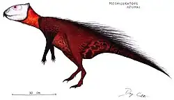 Мозаицератопс28 октября 2017 года