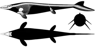 Скелетная реконструкция