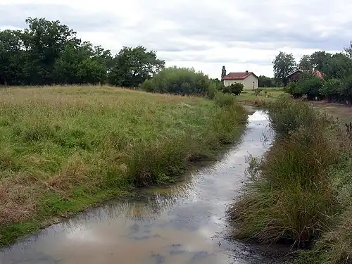 Мотт в Лабри