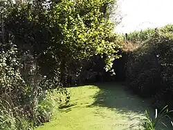 Руины водяной мельницы