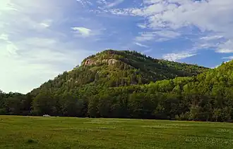 Вершина 420 м., лес и елань (поляна)