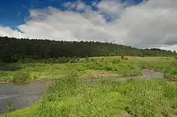 Устье реки Мельничной