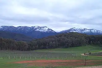 Гора Баффало — «сердце» парка.