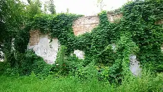 дом в 2019 году