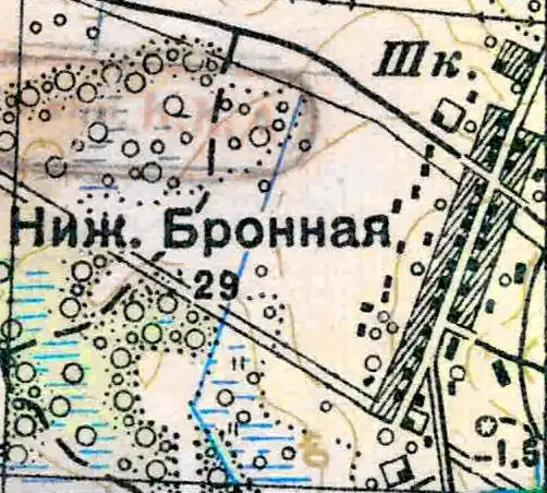 План деревни Нижняя Бронна. 1939 год
