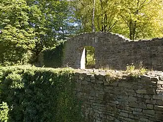 Руины замка Ной Изенбург