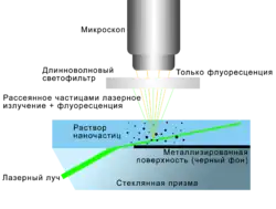 Схема измерений флуоресцирующих частиц в методе анализа траекторий наночастиц.