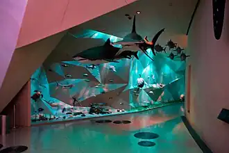 Национальный музей Катара — интерьер