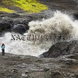 Обложка сингла Бьорк «Náttúra» (2008)