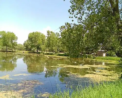 Природа муниципалитета