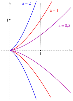 Полукубические параболы 
  
    
      
        y
        =
        a
        
          x
          
            3
            
              /
            
            2
          
        
      
    
    {\displaystyle y=ax^{3/2}}