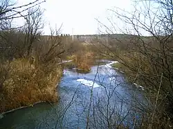 Возле Некрасово