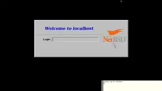 Скриншот графического входа в NetBSD 9.2 с помощью X Display Manager (xdm)