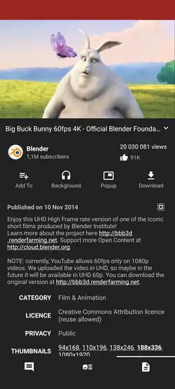 NewPipe_video_playback_interface