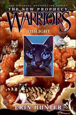 Обложка англоязычного издания