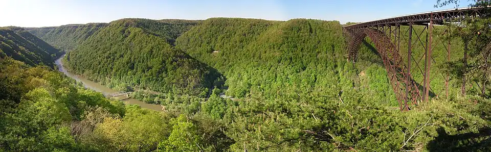 New River Gorge Bridge Overlook.jpg