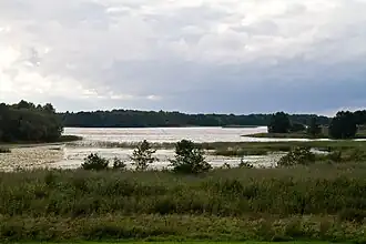 Вид на озеро Несьпиш с юго-восточного берега 25 августа 2010 года.