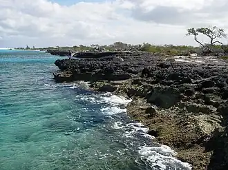 Северный берег острова