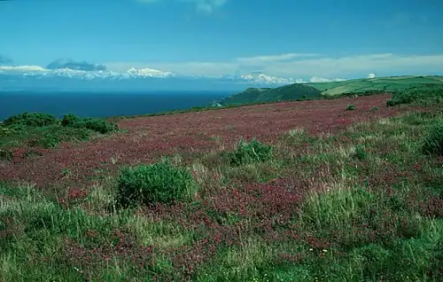 Побережье в северном Девоне