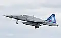 F-5E Swans FlSt19