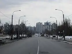 Вид от Шуваловского проспекта