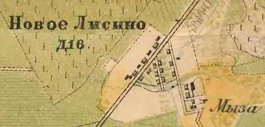 План деревни и мызы Новое Лисино. 1885 год