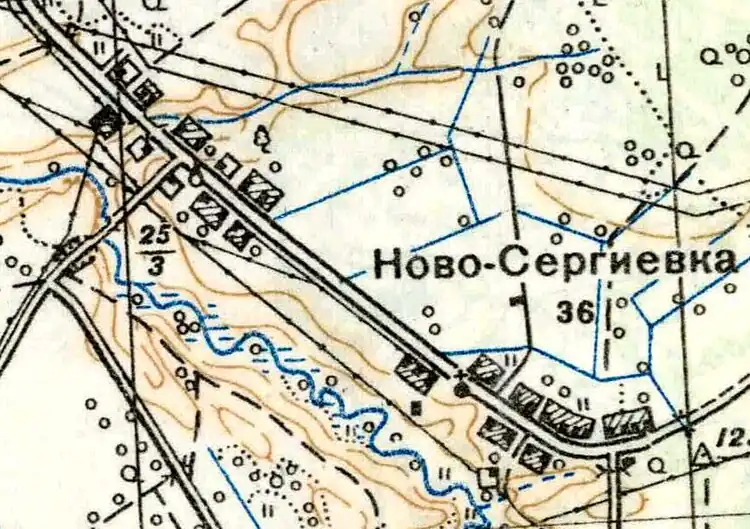 План деревни Новосергиевка. 1939&nbsp;год