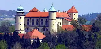 Замок, Новы-Виснич