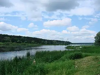 Пруд №15 (Святошинское озеро)