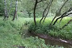 Вид на реку и долину реки Очаковки на территории ландшафтного заказника «Тёплый Стан».